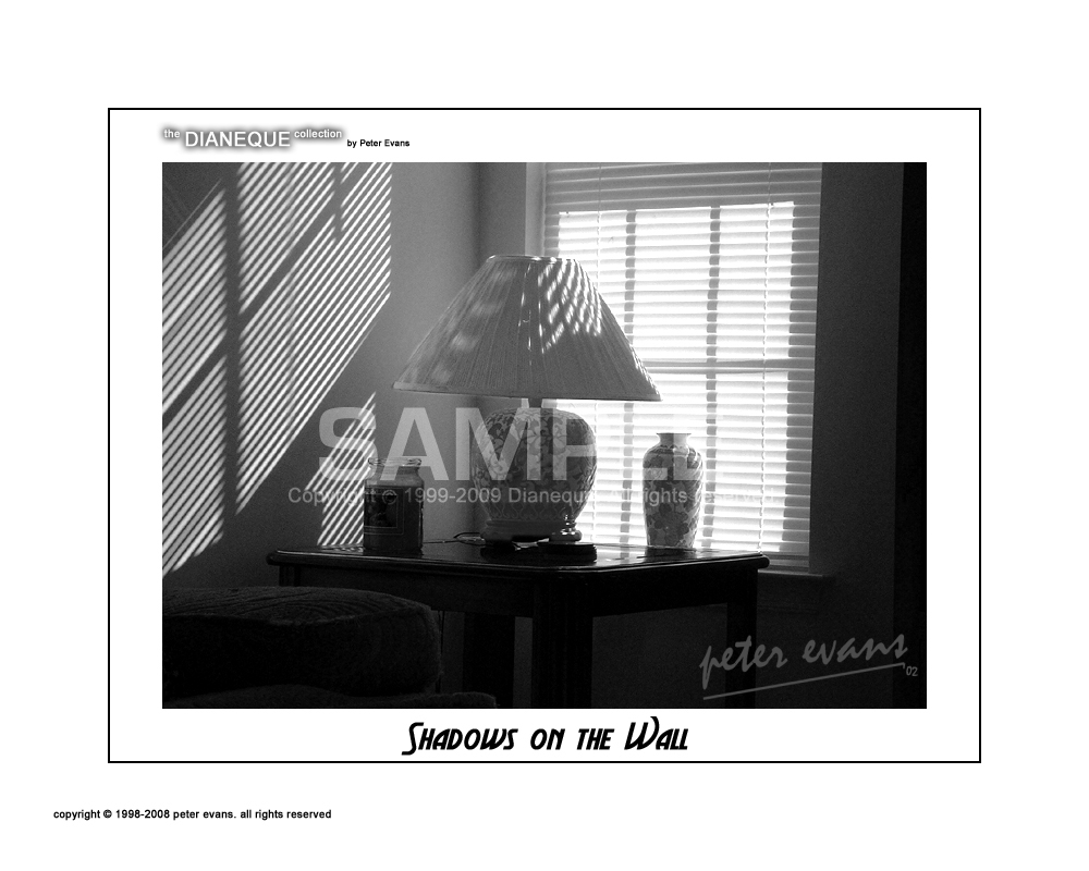 shadowsonthewallsample.jpg